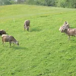Obermooshof
