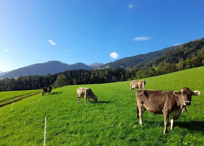 Obermooshof * 퓌겐베르크